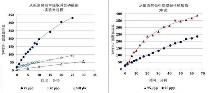 超声波酿酒酵母细胞破坏