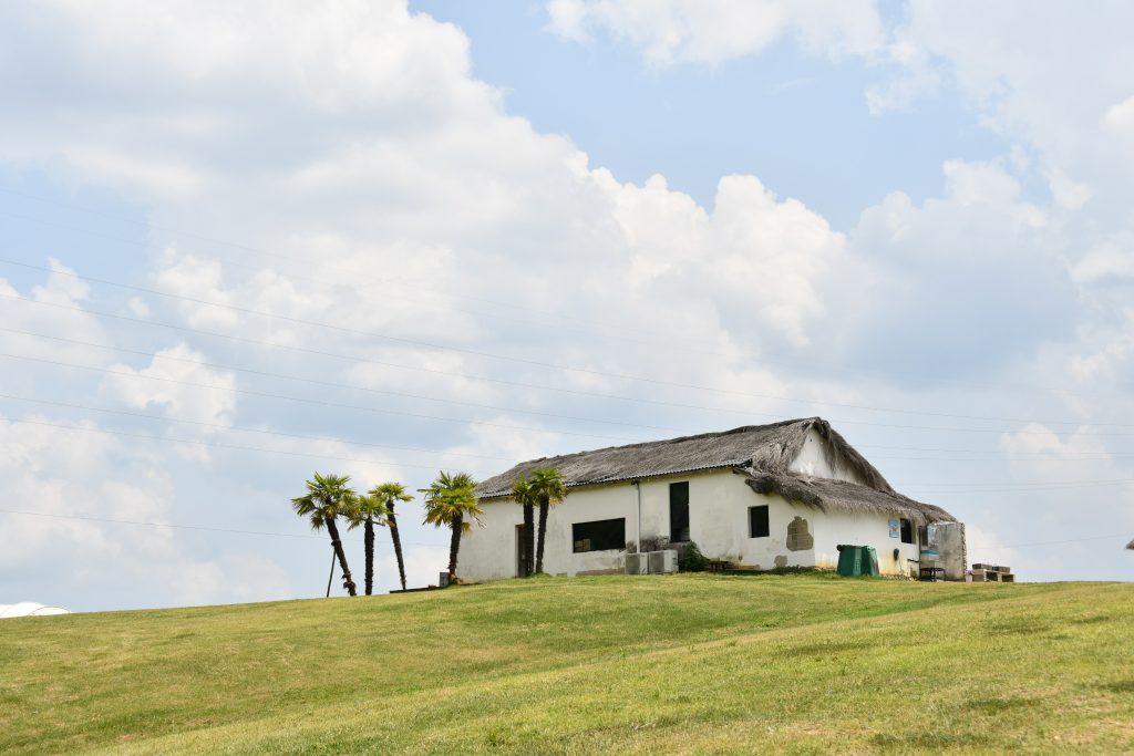 团建活动
